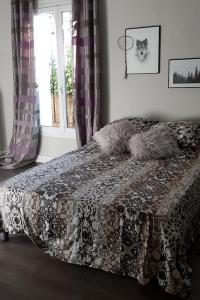 蒙彼利埃Belle chambre au calme centre Montpellier的一间卧室配有一张带毯子的床和窗户