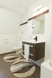 芬洛inn Venlo Apartment的一间带水槽、卫生间和镜子的浴室
