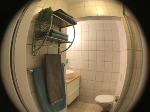 巴特索伯恩海姆Ferienapartment Helling的一间带卫生间、水槽和镜子的浴室