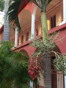 济金绍尔LES JARDINS DU FLAMBOYANT的棕榈树在粉红色建筑前