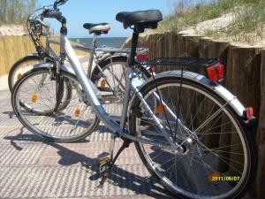 格拉尔-米里茨Lee1的两辆自行车在海滩附近停放