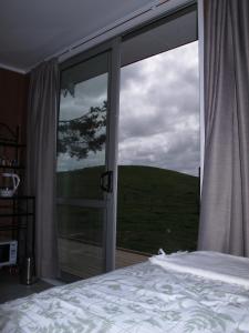 怀希Waihi Gold Alpacas 1 or 2 people的一间卧室设有一张床和一个大型玻璃窗