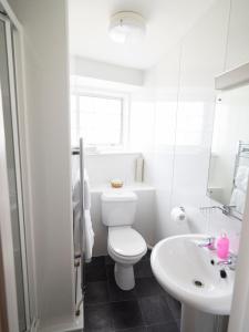 曼海德The Rest and Be Thankful Inn的白色的浴室设有卫生间和水槽。