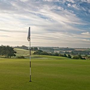 图默利拉Tomelilla Golf Hotell的绿色的高尔夫球场,带旗帜