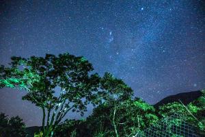 伊塔蒙蒂Estalagem Engenho de Serra的前场上一棵树的星空之夜