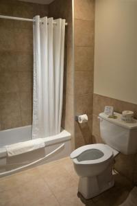 福里斯特维尔Motel Quatre Saisons的一间带卫生间和淋浴帘的浴室
