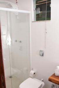 Antônio PradoRaposo Vale Encantado Pousada的一间带卫生间和玻璃淋浴间的浴室