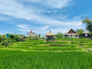 坎古KTS Balinese Villas的一片绿草丛,有房子在后面