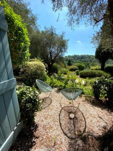 穆然池塘乡间别墅酒店的花园里的两把金属椅