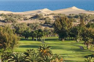 马斯帕洛马斯Los Tunos 81 Air conditioned 1 bedroom的一座棕榈树和沙丘背景的高尔夫球场