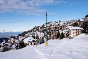 普拉托讷沃斯Zona Piazzale del Prel的山丘上积雪覆盖的山丘,