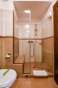 布朗潘休尼亚卡萨诺斯塔吉亚酒店的带淋浴和卫生间的浴室
