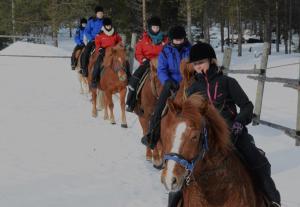 锡尔卡Polar Lights Lodge的一群在雪中骑马的人