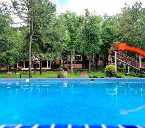基希讷乌Sky Land Camping & Resort的公园里的一个大型蓝色游泳池