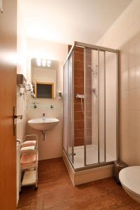 托尔高Hotel-Pension zum Markt的带淋浴和盥洗盆的浴室