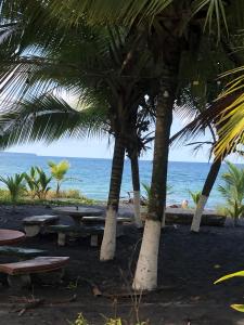 卡维塔Papaya Wildlife Lodge的棕榈树海滩,野餐桌和海洋