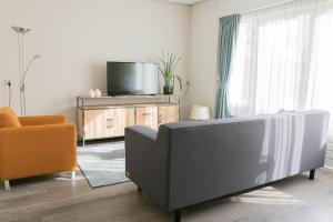 莱米尔莱米尔酒店的带沙发和电视的客厅