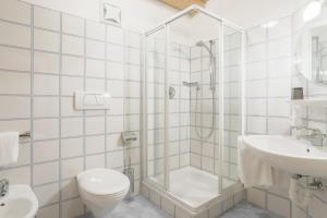 阿皮亚诺苏拉斯特拉达Appartements Eppanerhof的带淋浴、卫生间和盥洗盆的浴室