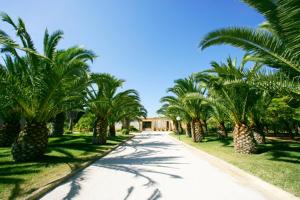 特拉帕尼Borgo Pida的一条在房子前面的棕榈树成行的道路