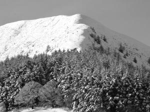 Llanbrynmair老学校之家住宿加早餐酒店的前面有树木的雪覆盖的山