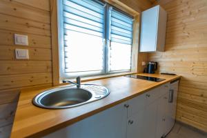 米耶伦科Quiet Resort的厨房设有水槽和窗户。