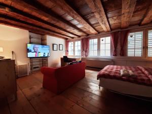 苏黎世Swiss Chalet Style的带沙发和平面电视的客厅