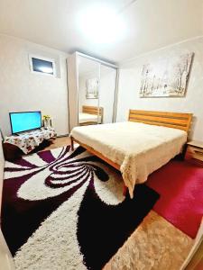 克洛佩夫尼茨基Шевченко 2的一间卧室配有一张大床和地毯。