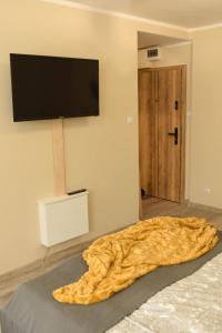 杰尔若纽夫Apartament Studio Klasztorna的卧室配有一张壁挂式平面电视的床。