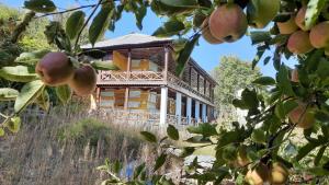 HarsilMountain Village Stay - Dharali Heights Harsil的苹果树中间的木房子