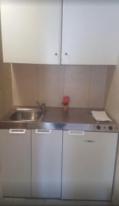阿依亚埃夫菲亚海神公寓式酒店的小厨房配有白色橱柜和水槽