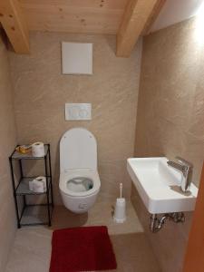 阿尔陶塞Ferienwohnung Christine的一间带卫生间和水槽的浴室