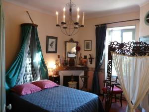鲁西永阿姆喜酒店的一间卧室配有一张带天蓬和镜子的床