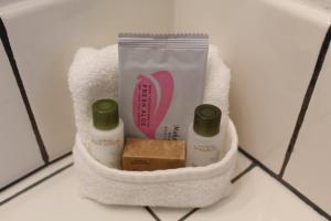 普尔曼美洲狮之地汽车旅馆的浴室组织者提供2瓶肥皂和毛巾