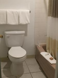 普尔曼美洲狮之地汽车旅馆的浴室配有卫生间、浴缸和水槽。