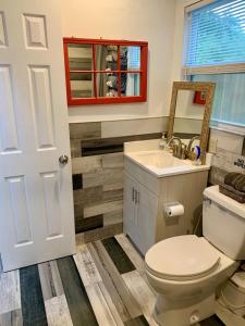 坦帕Tampa Lakehouse的一间带卫生间、水槽和镜子的浴室