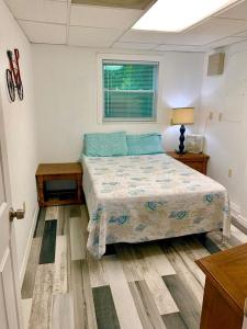 坦帕Tampa Lakehouse的一间卧室配有一张床、一张桌子和一个窗户。