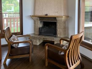 ChalaВили Чала的客厅配有两把椅子和壁炉