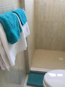 戴维Playa La Barqueta , Las Olas Tower Front的带淋浴、卫生间和毛巾的浴室