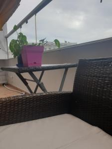 亚历山大Alexander The Great Hotel的坐在阳台上桌子上的盆栽植物