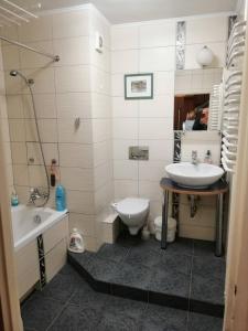 斯卡日斯科-卡缅纳Przytulne i atrakcyjne mieszkanie z pełnym wyposażeniem, dwa pokoje的一间带水槽和卫生间的浴室