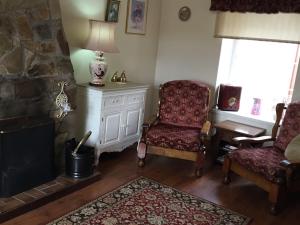巴利米纳Lisnafillan Lodge的客厅配有椅子、桌子和壁炉