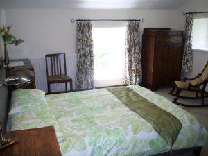 巴利米纳Lisnafillan Lodge的一间卧室设有一张大床和一个窗户。