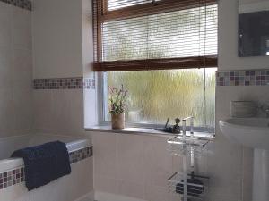 FremingtonWickham House Apartment的一间带水槽、窗户和浴缸的浴室