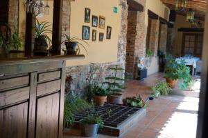 拉加罗维利亚普林西比赛罗乡村酒店的一座建筑中种有盆栽植物的庭院