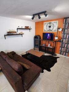 热克斯Hebergeneve La belle vie的客厅配有棕色沙发和电视