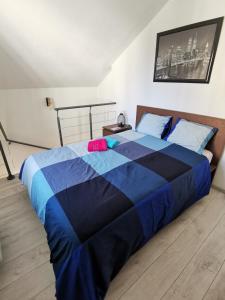 热克斯Hebergeneve La belle vie的一间卧室配有一张蓝色的床,上面有粉色的物品