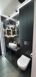 波兹南Apartament Vilda的浴室设有2个水槽、卫生间和镜子。