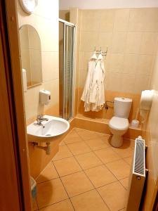 ZalasowaPałac pod Dębami的浴室配有卫生间、盥洗盆和淋浴。