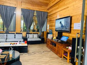Xihu烟雨西湖渡假屋的带沙发和平面电视的客厅