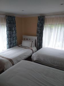 乔治阿尔卑旅馆的一间卧室设有两张床,窗户配有窗帘